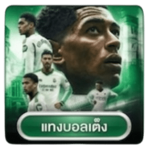 แทงบอลเต็ง