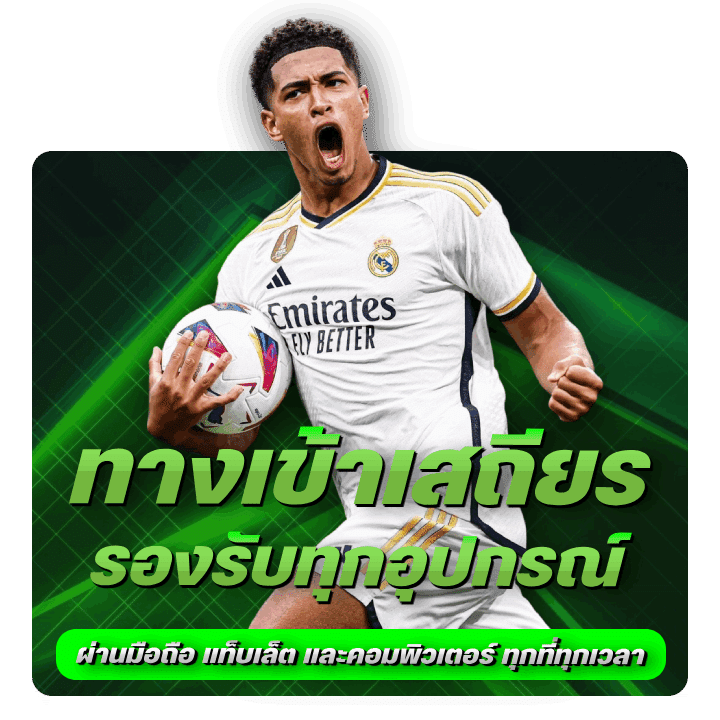 ทางเข้าเสถียร รองรับทุกอุปกรณ์